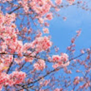 Meet your Posher, Ashleigh